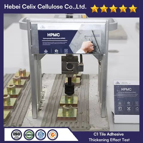 Таңдау тексері