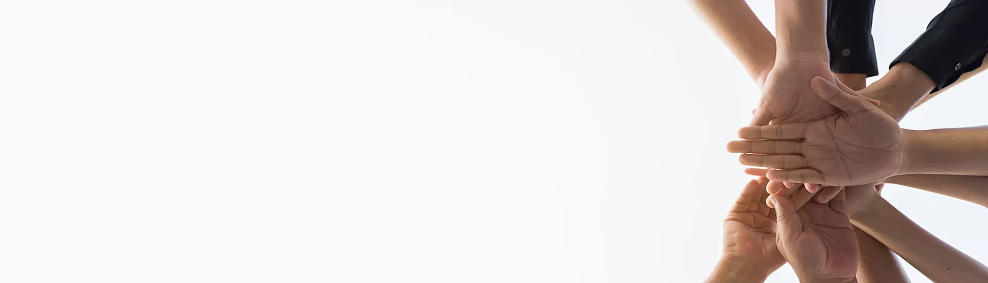 Celix Global Partner қолдау бағдарламасыName