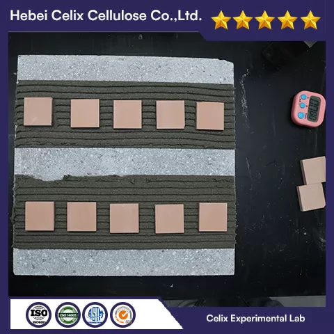 Таңдау тексері