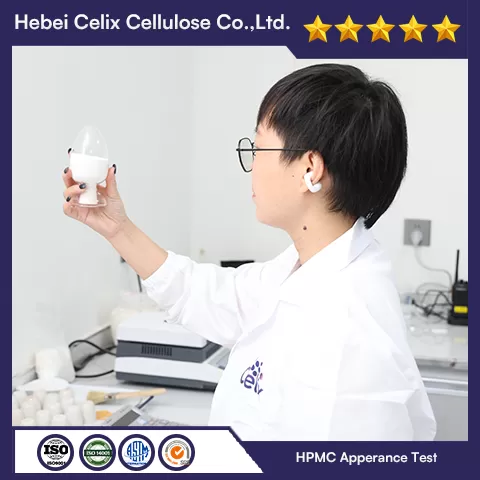 Таңдау тексері