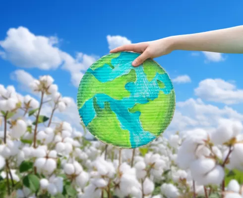 Жазалы қатты матеріалы