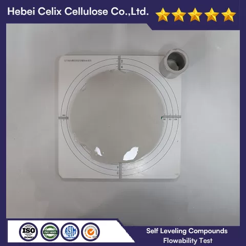 Таңдау тексері