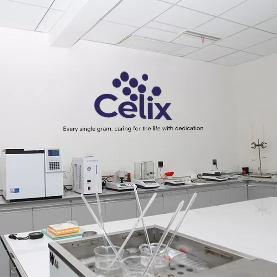 Celix Cellulose техникалық сарапшысы HPMC экспорты үшін талдау сертификатында (COA) партия деректерін тексереді