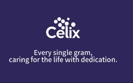 Неліктен жаһандық құрылыс жобалары Celix-ке сенім артады?